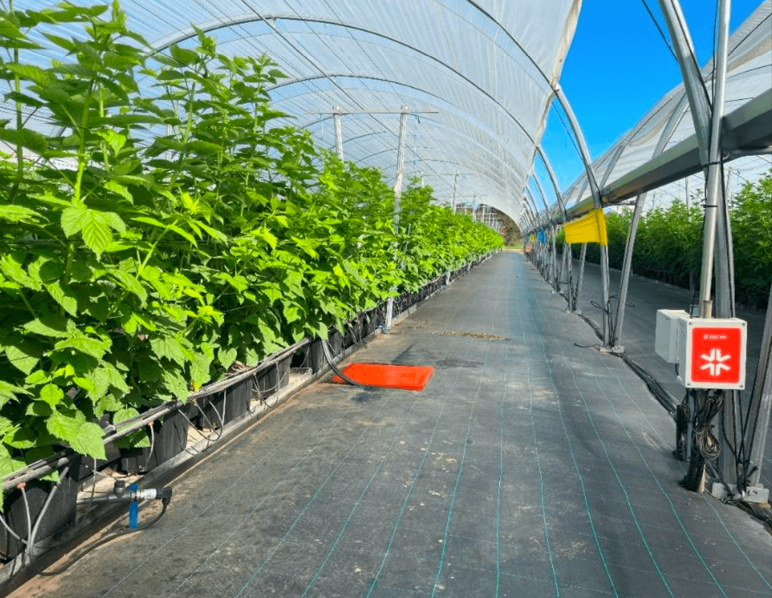 Captura de pantalla 2026-03-09 a las 7.15.21