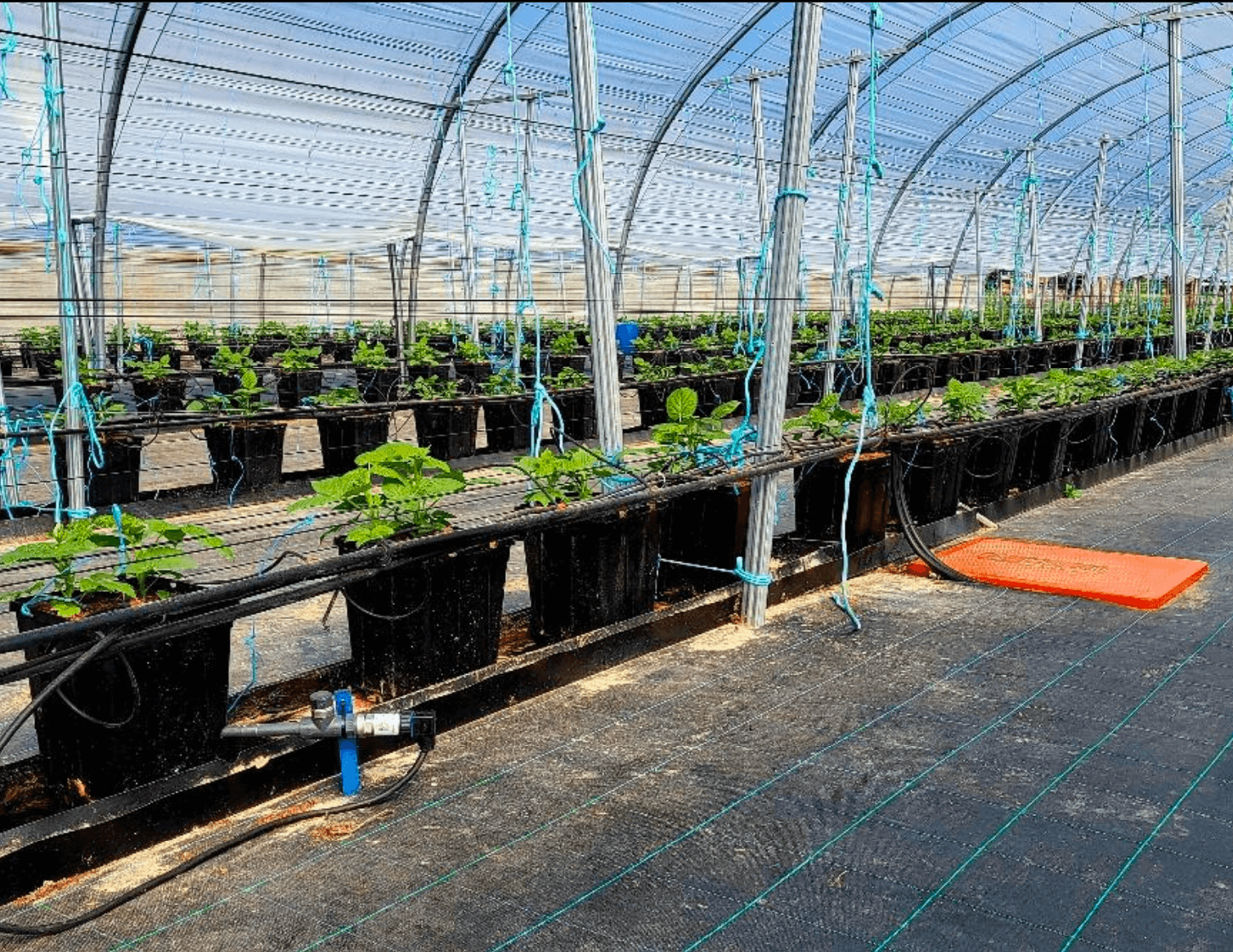 Captura de pantalla 2026-03-09 a las 7.17.46