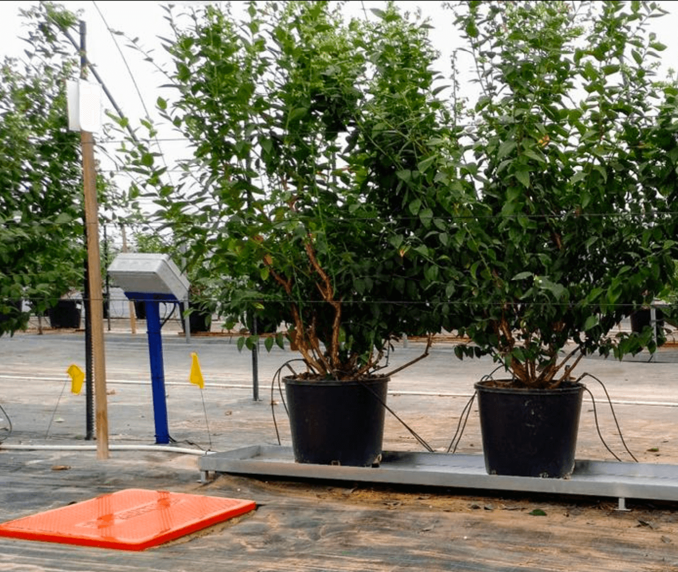 Captura de pantalla 2026-03-09 a las 7.18.00